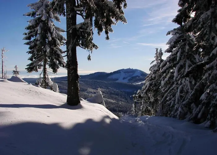 Quaint Holiday Home In Elezn Ruda Near Ski Area