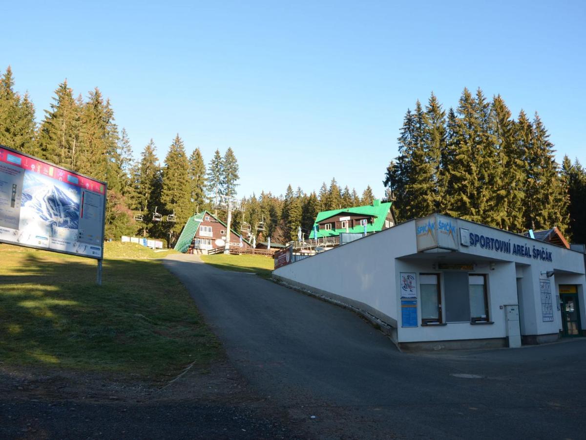 Quaint In Elezn Ruda Near Area Zelezna Ruda
