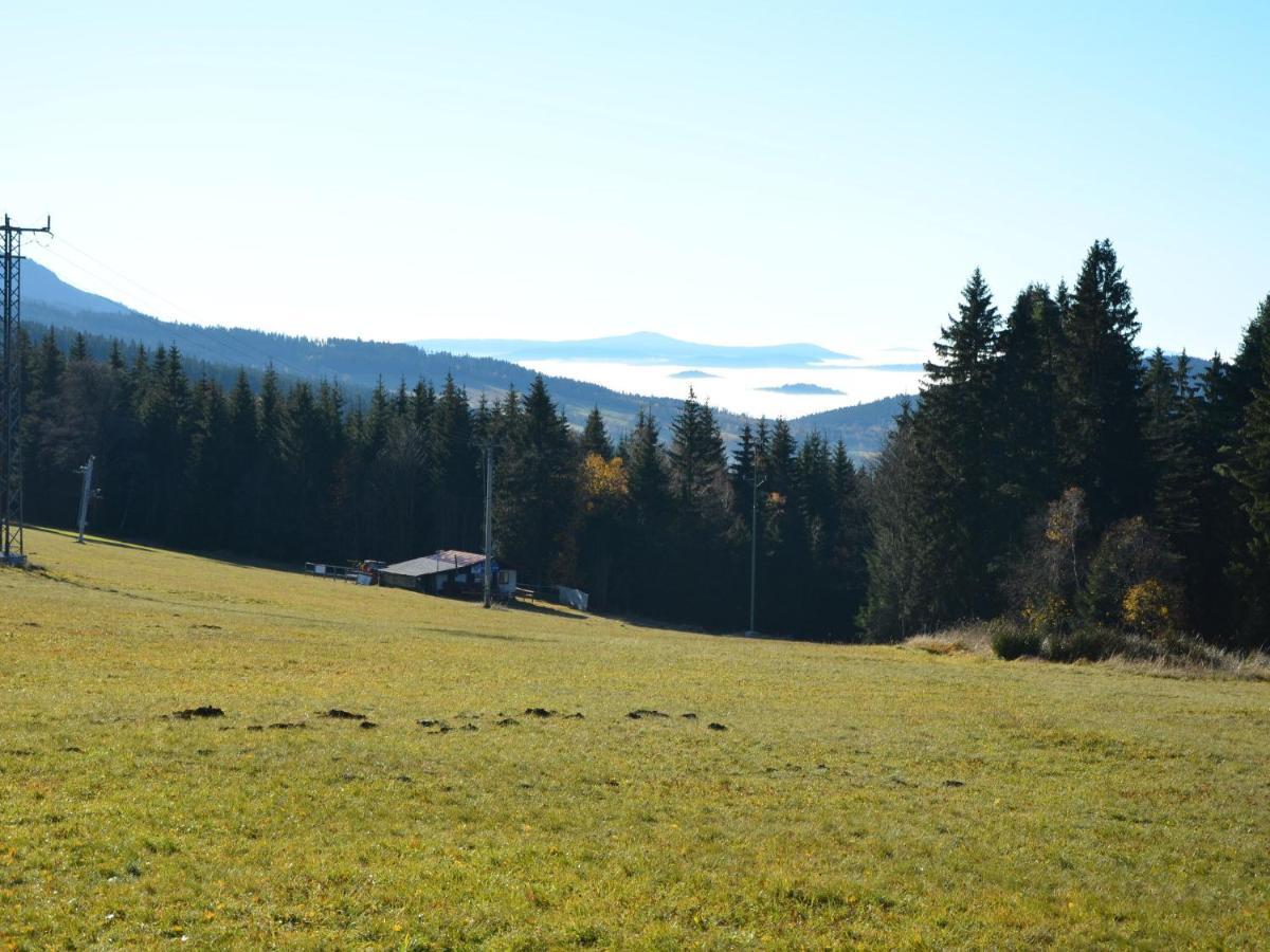 Quaint In Elezn Ruda Near Area Holiday home *
