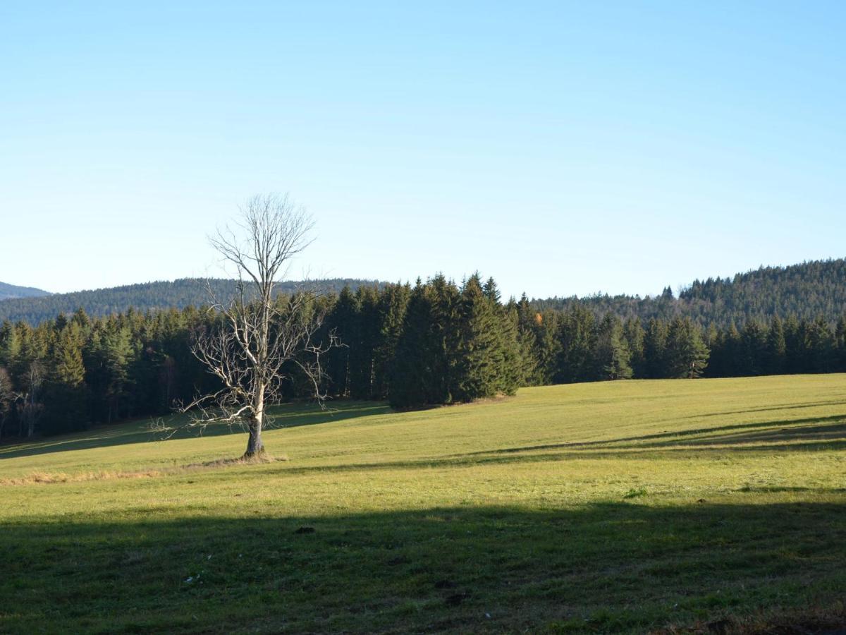 Quaint In Elezn Ruda Near Area *